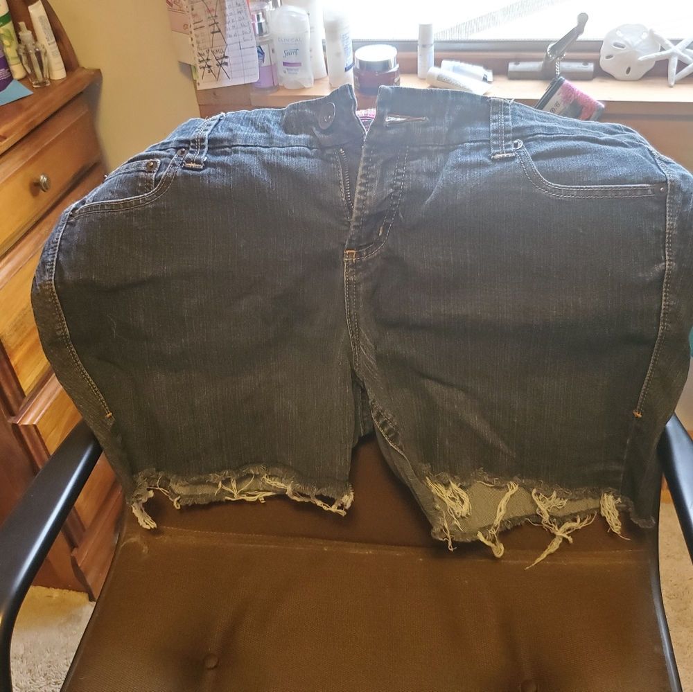 Torrid shorts